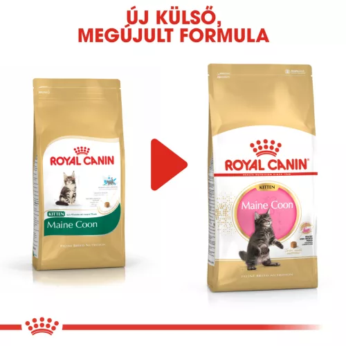 Royal Canin Feline Breed Nutrition Maine Coon kitten száraz macskaeledel 2kg