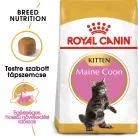 Royal Canin Feline Breed Nutrition Maine Coon kitten száraz macskaeledel 2kg