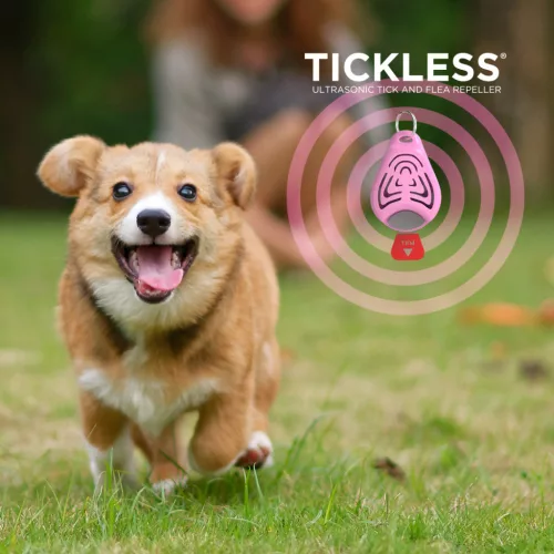 TICKLESS kullancsriasztó kutyáknak pink