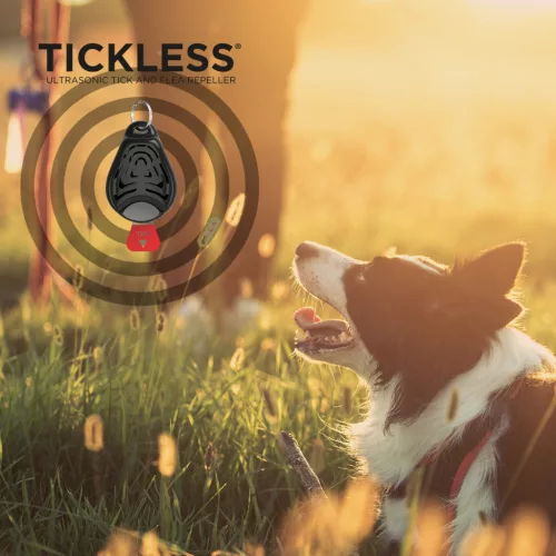TICKLESS kullancsriasztó kutyáknak fekete
