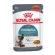Royal Canin Feline Care Nutrition Hairball Care macska tasak 12x85g