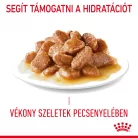 Royal Canin Feline Care Nutrition Hairball Care macska tasak 12x85g