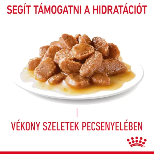 Royal Canin Feline Care Nutrition Hairball Care macska tasak 12x85g