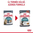 Royal Canin Feline Care Nutrition Hairball Care macska tasak 12x85g