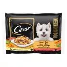 Cesar kutya tasak MP aszpikos válogatás 4x100g