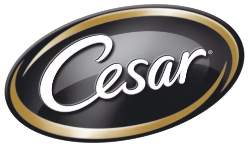Cesar kutya tasak MP mártásos válogatás 4x100g