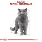 Royal Canin Feline Breed Nutrition Brit rövidszőrű adult macska tasak 12x85g