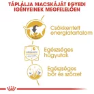 Royal Canin Feline Breed Nutrition Brit rövidszőrű adult macska tasak 12x85g