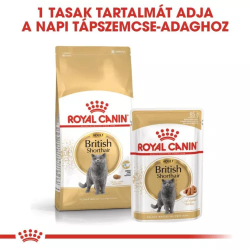 Royal Canin Feline Breed Nutrition Brit rövidszőrű adult macska tasak 12x85g