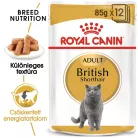 Royal Canin Feline Breed Nutrition Brit rövidszőrű adult macska tasak 12x85g