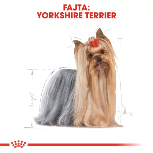 Royal Canin Breed Health Nutrition Yorkshire terrier adult kutya tasak 12x85g
