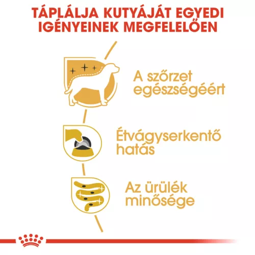 Royal Canin Breed Health Nutrition Yorkshire terrier adult kutya tasak 12x85g