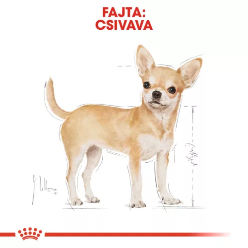 Royal Canin Breed Health Nutrition Csivava kutya tasak adult 12x85g