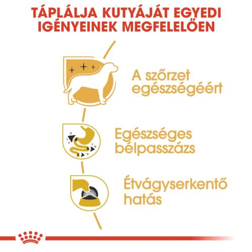 Royal Canin Breed Health Nutrition Csivava kutya tasak adult 12x85g