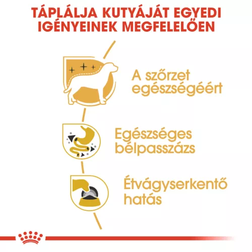 Royal Canin Breed Health Nutrition Csivava kutya tasak adult 12x85g