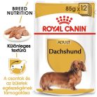Royal Canin Breed Health Nutrition Tacskó adult kutya tasak 12x85g