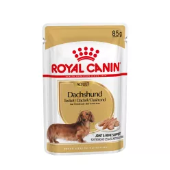   Royal Canin Breed Health Nutrition Tacskó adult kutya tasak 12x85g