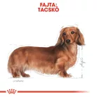 Royal Canin Breed Health Nutrition Tacskó adult kutya tasak 12x85g