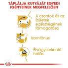 Royal Canin Breed Health Nutrition Tacskó adult kutya tasak 12x85g
