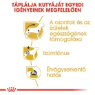 Royal Canin Breed Health Nutrition Tacskó adult kutya tasak 12x85g