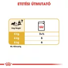 Royal Canin Breed Health Nutrition Tacskó adult kutya tasak 12x85g