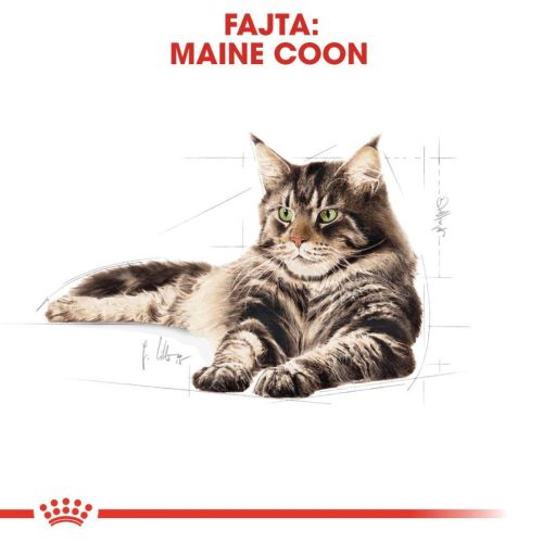 Royal Canin Feline Breed Nutrition Maine Coon adult macska tasak 12x85g