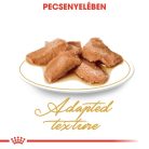 Royal Canin Feline Breed Nutrition Maine Coon adult macska tasak 12x85g