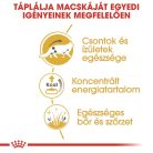 Royal Canin Feline Breed Nutrition Maine Coon adult macska tasak 12x85g
