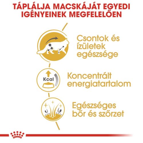 Royal Canin Feline Breed Nutrition Maine Coon adult macska tasak 12x85g