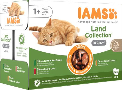 IAMS Advanced Nutrition macska tasak MP Land in gravy szószban 12x85g