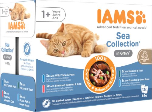 IAMS Advanced Nutrition Sea Collection in gravy MP macska tasak 12x85g