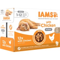   IAMS Advanced Nutrition macska tasak MP kitten csirke szószban 12x85g