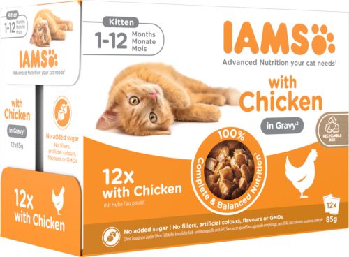IAMS Advanced Nutrition macska tasak MP kitten csirke szószban 12x85g