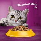 Whiskas száraz macskaeledel csirke 1,4kg