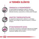 Royal Canin Veterinary Renal select vesebetegség ckd száraz macskaeledel 2kg
