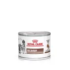 Royal Canin Veterinary Gastrointestinal Recovery Mousse felépülést segítő macskáknak és kutyákank nedves eledel konzerv 12x200g