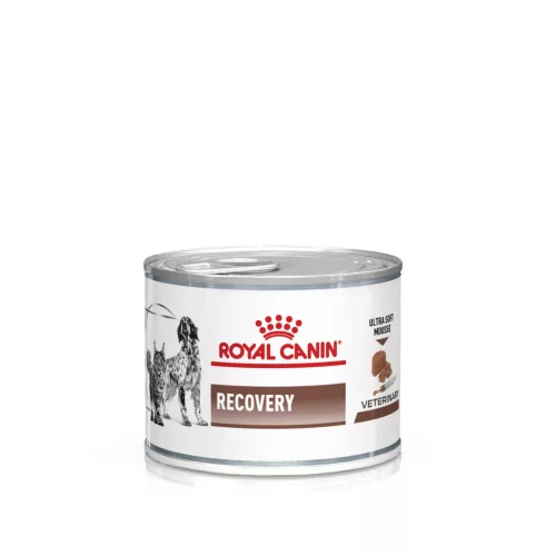 Royal Canin Veterinary Gastrointestinal Recovery Mousse felépülést segítő macskáknak és kutyákank nedves eledel konzerv 12x200g
