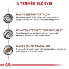 Royal Canin Veterinary Gastrointestinal Recovery Mousse felépülést segítő macskáknak és kutyákank nedves eledel konzerv 12x200g