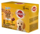 Pedigree kutya tasak MP junior aszpikos 12x100g
