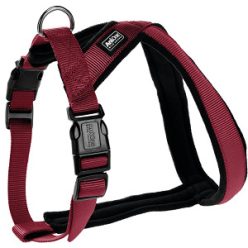 AniOne kutya X-hám classic piros XS-S