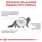 Royal Canin Veterinary Gastrointestinal emésztőszervi betegség száraz macskaeledel  4kg