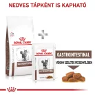 Royal Canin Veterinary Gastrointestinal emésztőszervi betegség száraz macskaeledel  4kg