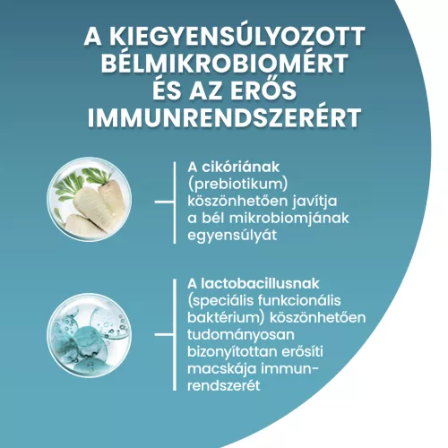 Purina ONE Bifensis Csirkében gazdag száraz macskaeledel 1,5kg