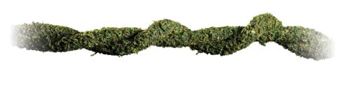 ExoTerra dekoráció mohás inda S 2m