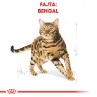 Royal Canin Feline Breed Nutrition Bengáli adult száraz macskaeledel 2kg