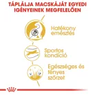 Royal Canin Feline Breed Nutrition Bengáli adult száraz macskaeledel 2kg