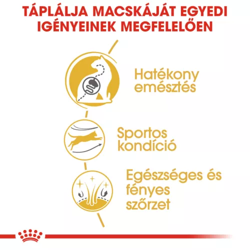 Royal Canin Feline Breed Nutrition Bengáli adult száraz macskaeledel 2kg