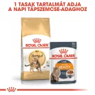 Royal Canin Feline Breed Nutrition Bengáli adult száraz macskaeledel 2kg
