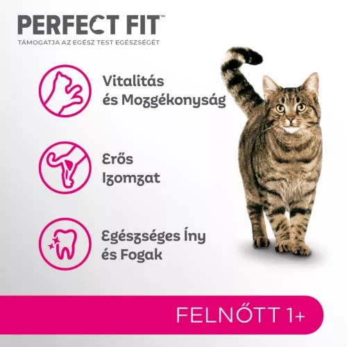 Perfect Fit száraz macskaeledel adult lazac 750g