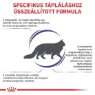 Royal Canin Veterinary Dental szájhigiénia fenntartása száraz macskaeledel 1,5kg